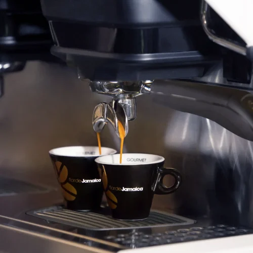 Tazas Gourmet mango invertido